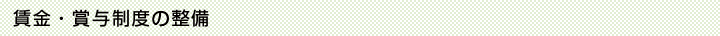 賃金・業績賞与制度の整備
