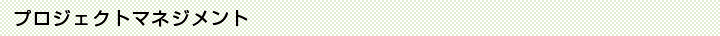プロジェクトマネジメントの導入